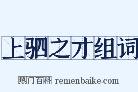 上驷之才组词是什么意思的图片